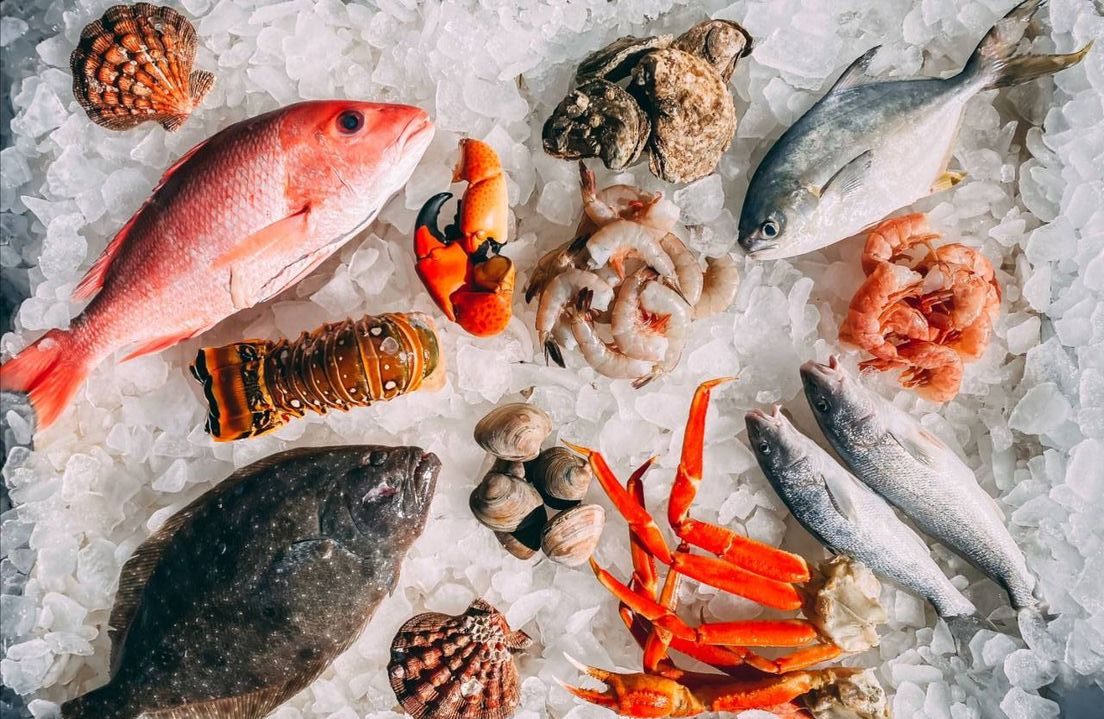 Variedad de pescados y mariscos frescos sobre hielo en Seafood Brothers Guadalajara.